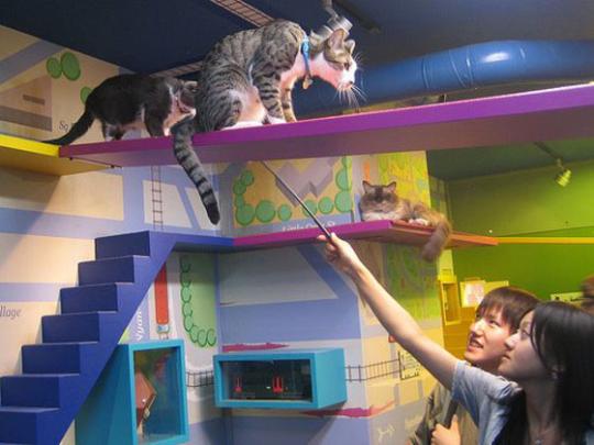 ��������� ��� ��� �����