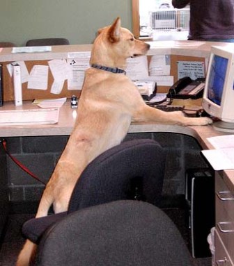 ������� �� ������ ���