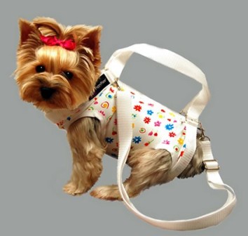 ��������� ��������� ��� ��������� �����