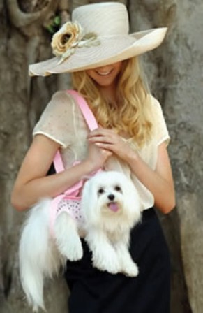 ��������� ��������� ��� ��������� �����