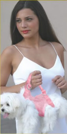 ��������� ��������� ��� ��������� �����