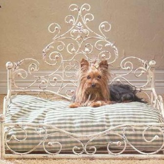 �������� ������� ��� �����