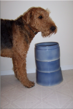 ��������� ����� ��� ����