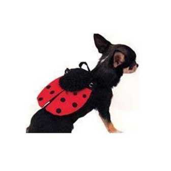 ������ ��� �����