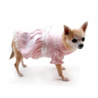 ������� ��� ��������� ������