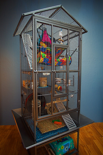 ��� �� ����� ���� ����