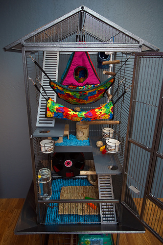 ��� �� ����� ���� ����