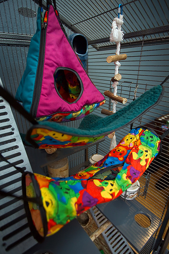 ��� �� ����� ���� ����