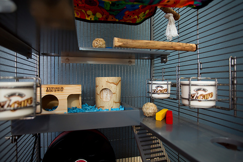 ��� �� ����� ���� ����