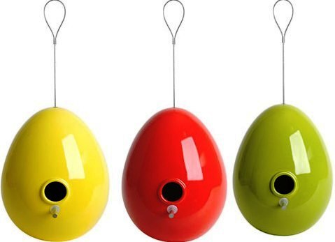 ������ ������ ��� ����