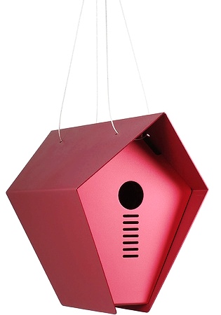 ������ ������ ��� ����