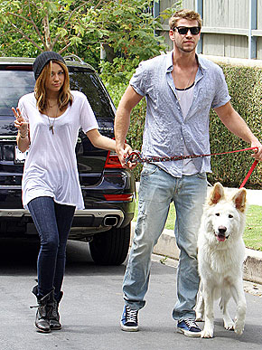 ������ �������� ��������