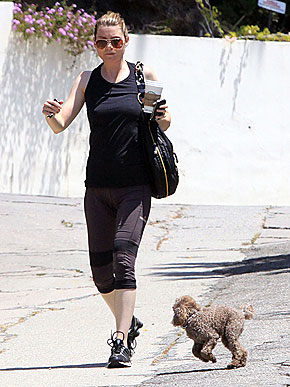 ������ �������� ��������