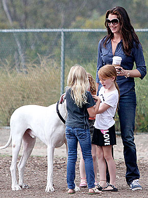 ������ �������� ��������