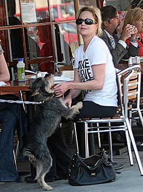 �������� ���� � ���������