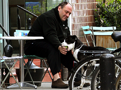 �������� ���� � ���������