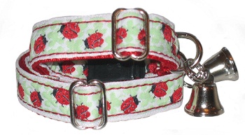 Летние ошейники для хорьков Летние ошейники для хорьков