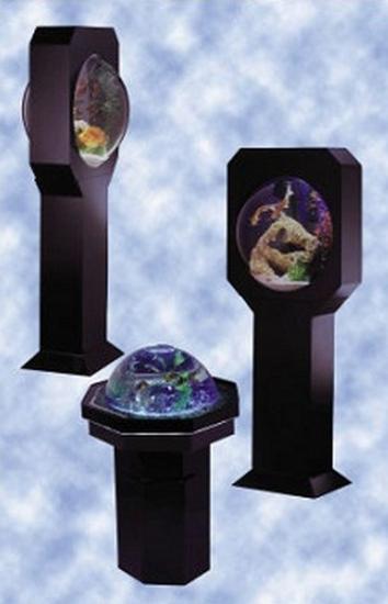 ��������� ��������