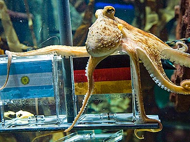 ������������ ���������