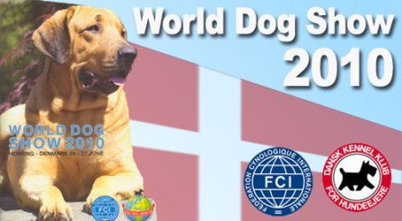 ���-��� ��-������