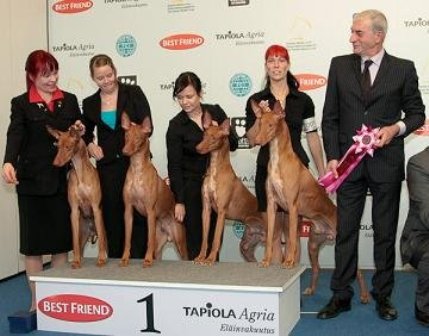 ���-��� ��-������