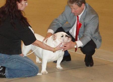 ���-��� ��-������