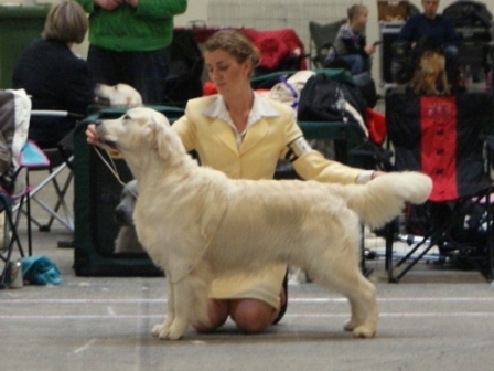 ���-��� ��-������