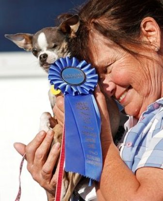 ����� �������� ������ � ����