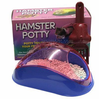 ������ ��� ����� ���������