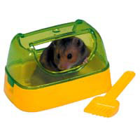 ������ ��� ����� ���������