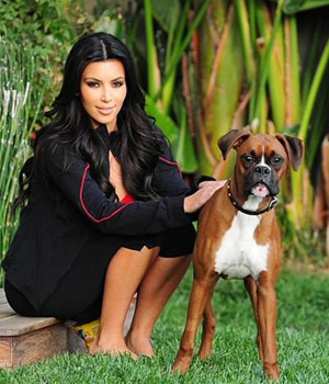 ������ ��������� ������ ���������