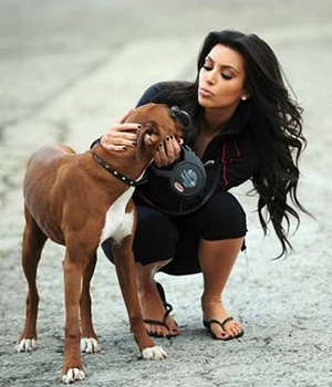 ������ ��������� ������ ���������