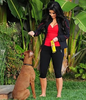 ������ ��������� ������ ���������