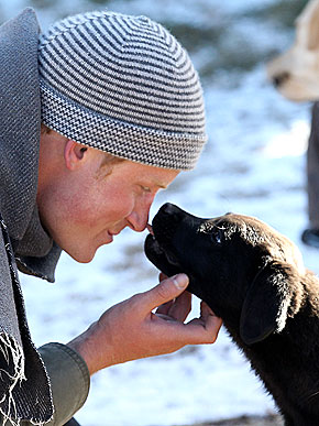 � ������� � ��������