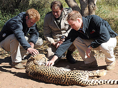 � ������� � ��������