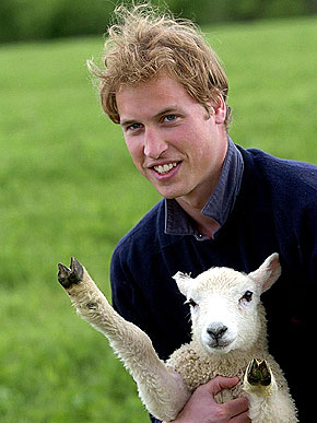 � ������� � ��������