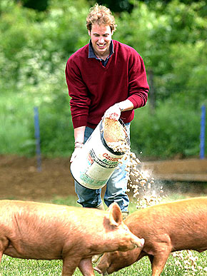 � ������� � ��������