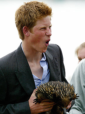 � ������� � ��������