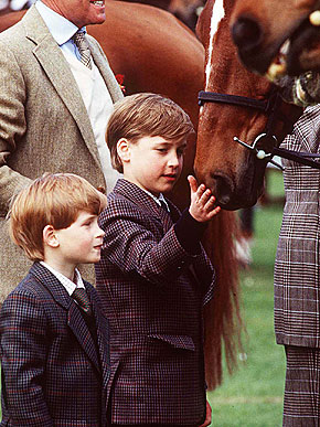 � ������� � ��������