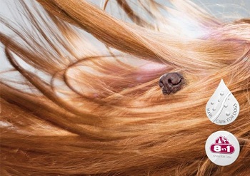 � 8 ��� ���������