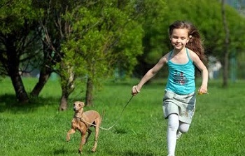 ���� � ������