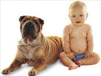 ���� � ������