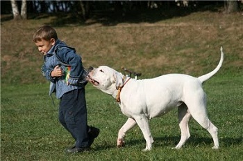 ���� � ������