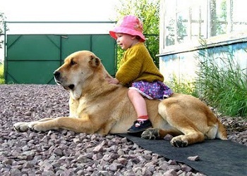 ���� � ������