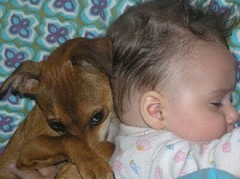 ���� � ������