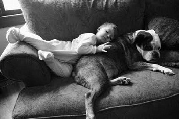 ���� � ������