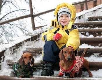 ���� � ������