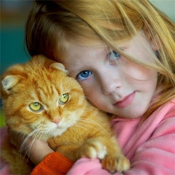 ���� � �����