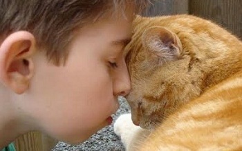 ���� � �����