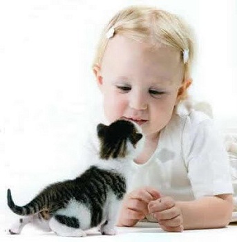 ���� � �����